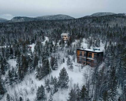 nish hiver