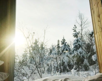 forêt shiship hiver charlevoix