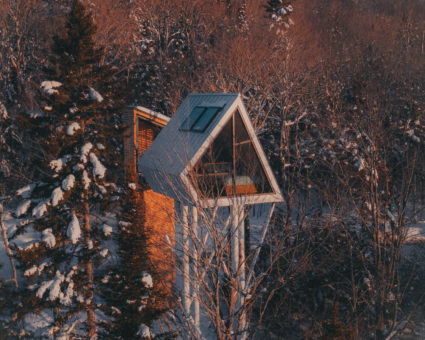 uhu hiver Charlevoix