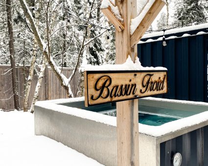 bassin froid spa hiver détente