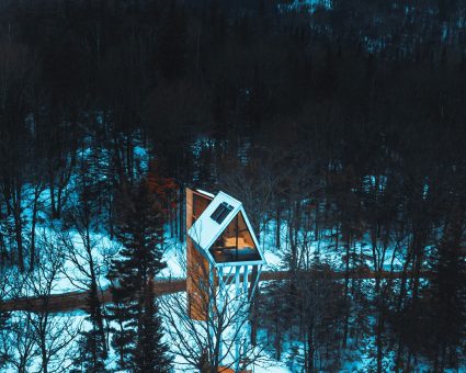 hiver uhu Charlevoix galerie