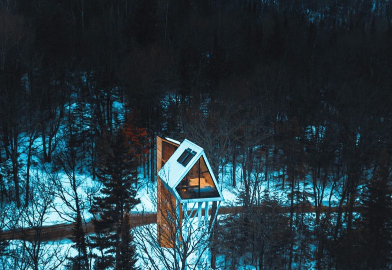 hiver uhu Charlevoix galerie