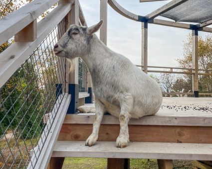 accueil été détente