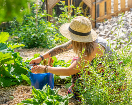 DSC08235.crÃ©dit.RaphaÃ«l