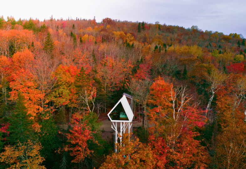 Uhu_extérieur_automne